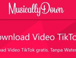 Musicallydown, Download Video TikTok ke MP3 MP4 Tanpa Watermark