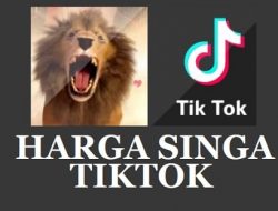 Harga Singa TikTok adalah 29999 Koin, Dirupiahkan Menjadi