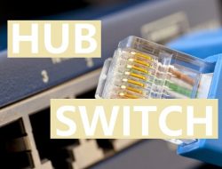 Perbedaan Hub dan Switch yang Perlu Kamu Ketahui