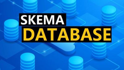 Apa itu SKema Database