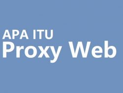Apa Itu Proxy Web dan Bagaimana Cara Menggunakannya?