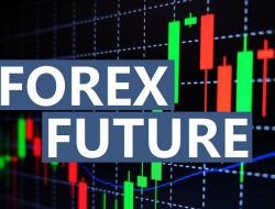 Forex dan Future: Panduan Investasi untuk Pemula