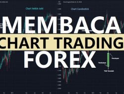 Cara Membaca Chart Trading Forex untuk Pemula