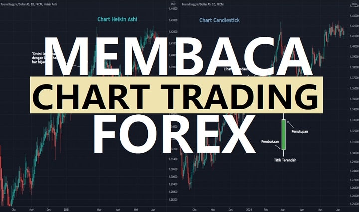 membaca chart trading forex