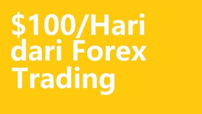 Cara Mendapatkan 100 Dollar Sehari dari Forex Trading