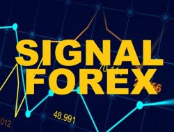 Cara Menyusun Signal Harian Forex untuk Pemula