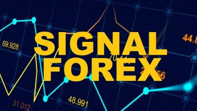 signal harian forex