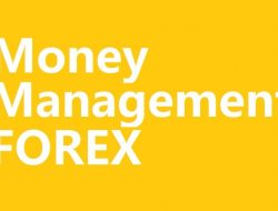 Contoh Money Management Forex yang Baik