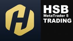 Aplikasi HSB MetaTrader 5 Trading
