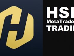 Aplikasi HSB MetaTrader 5 Trading: Solusi Trading Profesional