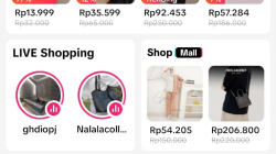 Mudah Dijual di TikTok