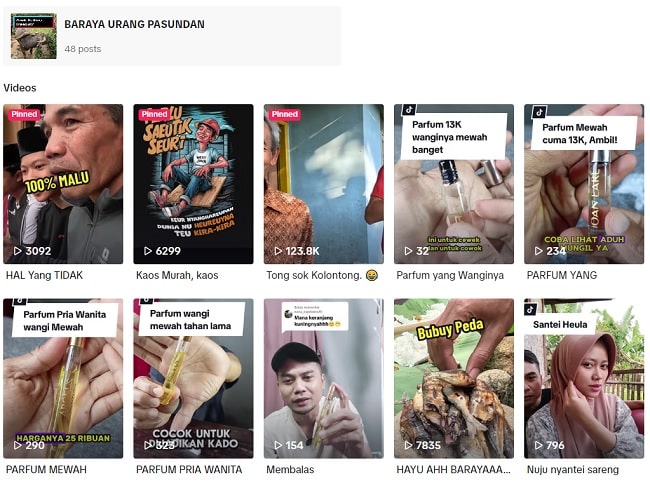 video jualan di TikTok