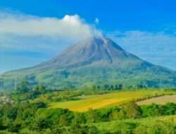 Gunung Sinabung: Ketika Alam Bangkit dari Tidurnya