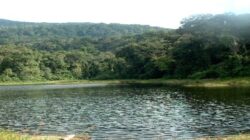 Danau Siombun: Surga Tersembunyi di Tengah Alam Sumatera