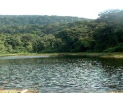 Danau Siombun: Surga Tersembunyi di Tengah Alam Sumatera