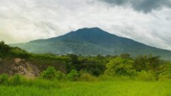 Gunung Singgalang: Permata Hijau Sumatera Barat yang Menyimpan Pesona