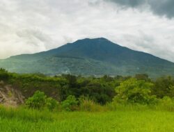 Gunung Singgalang: Permata Hijau Sumatera Barat yang Menyimpan Pesona