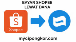 Cara Bayar Shopee Lewat DANA