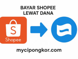 Cara Bayar Shopee Lewat DANA