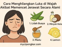 Cara Menghilangkan Luka Di Wajah Akibat Memencet Jerawat Secara Alami