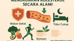 Cara Menurunkan Kolesterol Secara Alami
