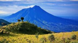 Gunung Merbabu: Misteri, Mitos, dan Keindahan yang Abadi